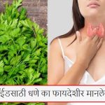Thyroid Home Remedies: थायरॉईडपासून मुक्ती मिळवण्यासाठी कोथिंबीर वापरा, आयुर्वेदिक डॉक्टरांचे मत जाणून घ्या.