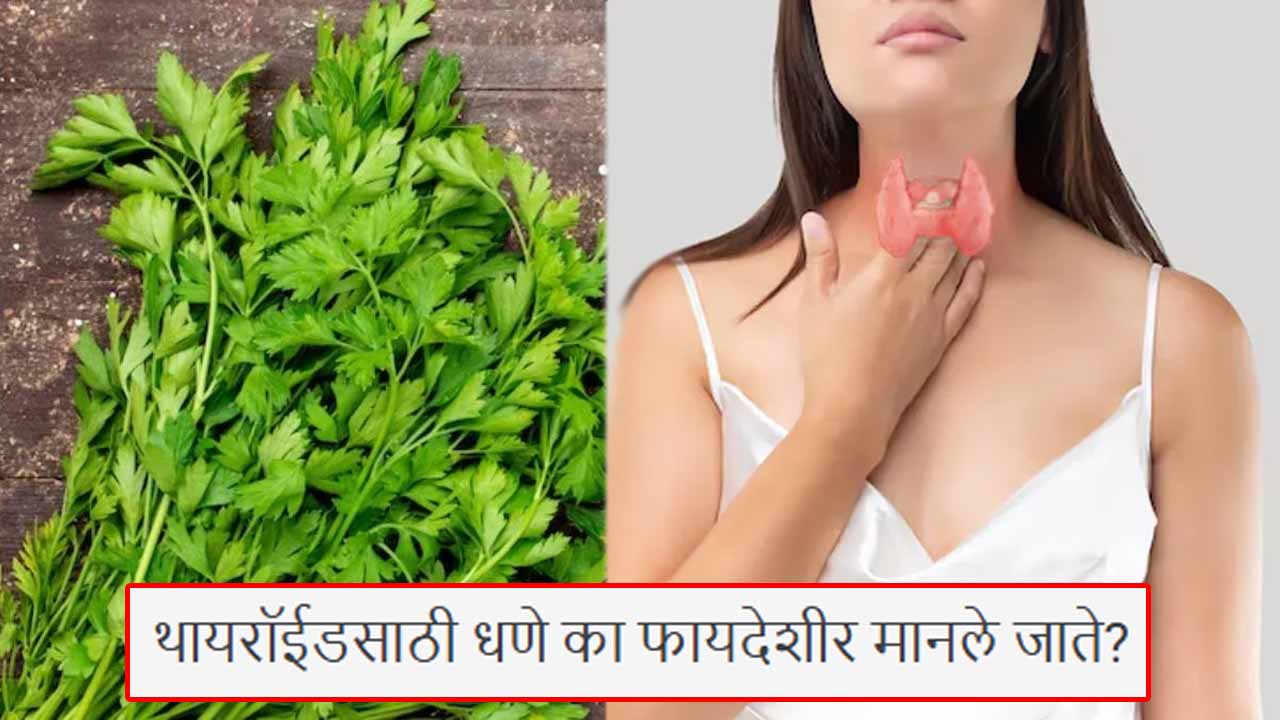 Home 9 Thyroid Home Remedies: थायराइडच्या समस्येवर धन्याचा घरगुती उपाय, आयुर्वेदिक डॉक्टरांचे सोपे सांगणे!