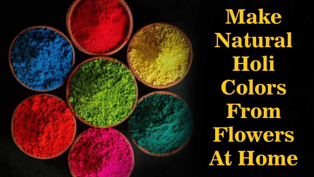 Natural Holi Colors: रंगांमुळे अ‍ॅलर्जी होते का? घरी अशा प्रकारे १००% नैसर्गिक गुलाल बनवा.