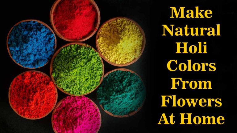 Natural Holi Colors: रंगांमुळे अॅलर्जी होते का? घरी अशा प्रकारे १००% नैसर्गिक गुलाल बनवा. 1 Natural Holi Colors: रंगांमुळे अॅलर्जी होते का? घरी अशा प्रकारे १००% नैसर्गिक गुलाल बनवा.